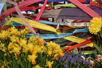 Lisse, Netherlands, April 2022. Colorful displays of tulips, daffodils and hyacinths at the Keukenhof.