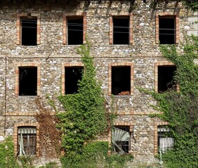 Facade of an old abandoned building made of stones and bricks with creeper plants on it. Background and texture.