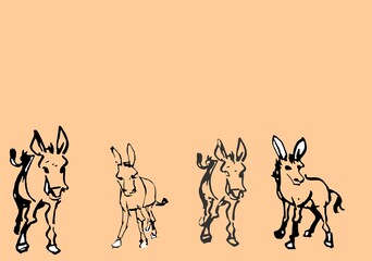 Donkey, appearance and posture, walking.