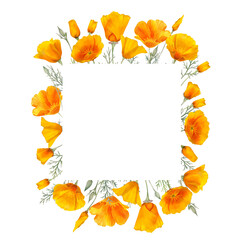 Watercolor california orange poppies isolated border. Hand painted illustration with sunny bright orange and yellow flowers to design invitations, postcards and other print