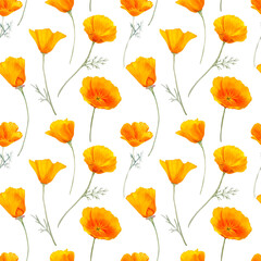 Watercolor california orange poppies isolated border. Hand painted illustration with sunny bright orange and yellow flowers to design invitations, postcards and other print