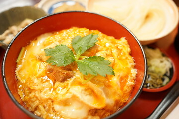 Oyako-don or Oyakodon, Chicken and Egg Bowl, Japanese Food - 日本料理 親子丼
