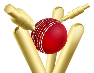 Cricket Ball Knocking Over Wickets Or Stumps - obrazy, fototapety, plakaty
