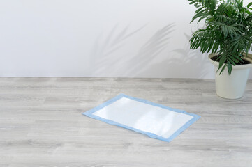 disposable dog diaper on the floor © food and animals