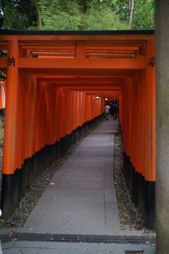 gates at a Japanese shrine