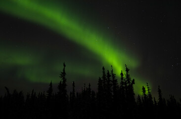 Northern lights silhouette.