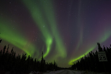 Northern lights silhouette.