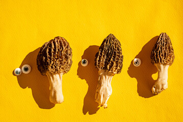 funny morels characters on bright background