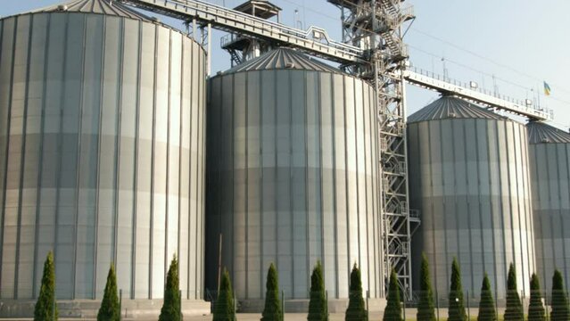 Silver silos on agro manufacturing plant for processing drying cleaning, storage of agricultural products, flour, cereals and grain. Large iron barrels of grain. Granary elevator.