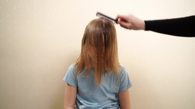 Mom combs her daughter's wet hair before cutting. cutting hair at home. life hacks and rules of hair care. special combs and scissors for hairdressers.