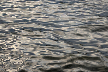 ripples in the water