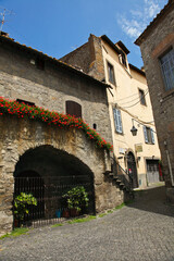 Viterbo, borgo, medievale, cittadino