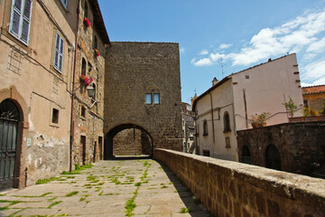 Viterbo, quartieri, medievali