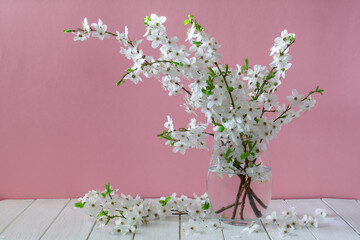 Bouquet of flowering plum tree branches in a glass vase on a pink background. Still life