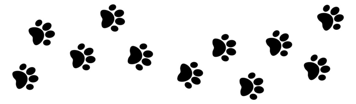 Paw foot trail print of dog. Vector dog silhouette animal tracks.