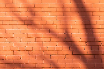 Bright, vivid and colorful background, backdrop or texture of brown brick wall with shadow of tree branches in sunny weather