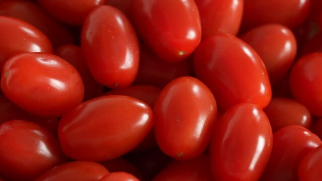 Closeup view 4k stock video footage of blurry tasty fresh juicy small oblong organic tomato cherry vegetables isolated on green background. Food abstract video background