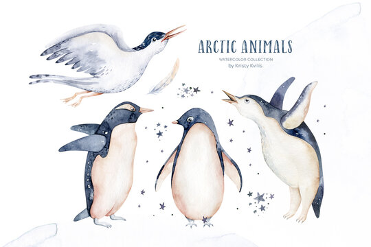 Beautiful watercolor illustration penguins, arctic tern. Hand drawn image of antarctic birds. Isolated objects on white background.