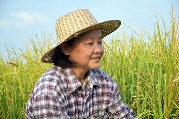 Portrait of elderly asian woman who wears palm leaf hat and checkered shirt, sits by the yellow...