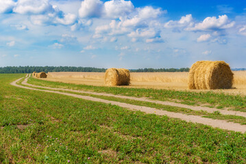 Straw bales in a field near a country road