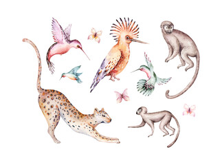 Tropical watercolor set birds hummingbird, monkey and jaguar, exotic jungle plants palm banana leaves flowers, flamingo pastel color seamless fabric background © kris_art