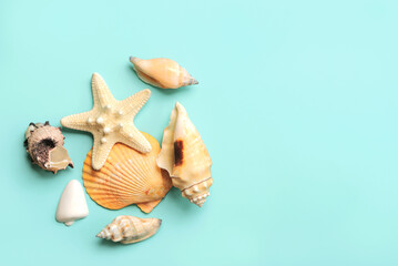 Summer holiday concept.Top view of sea shells and starfish with space for text