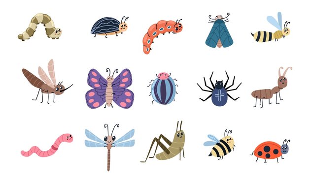 Cute bugs and insects. Cartoon ant bee spider moscito butterfly characters. Vector insect collection