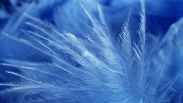 super close-up, details. blue fluff in a neckpiece. copy space