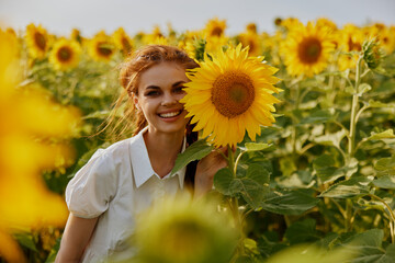 woman with pigtails looking in the sunflower field flowering plants