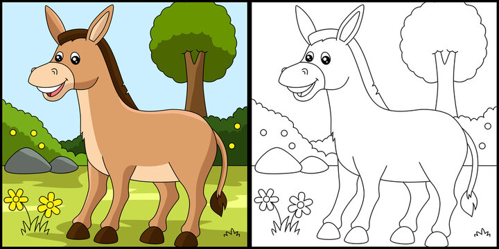 Donkey Coloring Page Colored Illustration