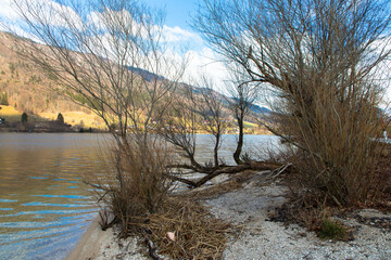Attersee in the Salzkammergut in Austria. Beautiful natural beach with bushes and trees. Upper Austria, Europe.