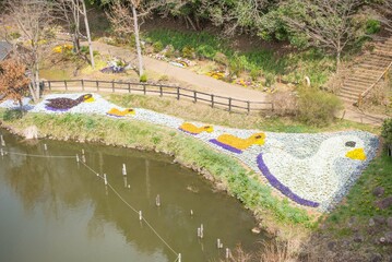 アヒルの大行進（duck）