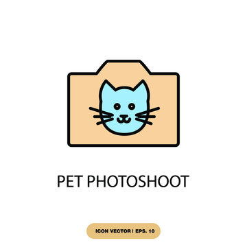 pet photoshoot icons  symbol vector elements for infographic web