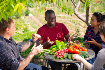 People gardeners chatting at table with harvest after harvesting at farmland
