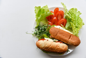 Hot dogs with sausage with herbs and tomatoes