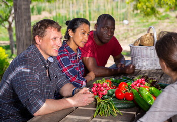 People gardeners chatting at table with harvest after harvesting at farmland