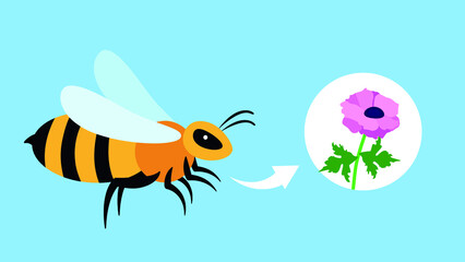 a bee collects pollen from a flower