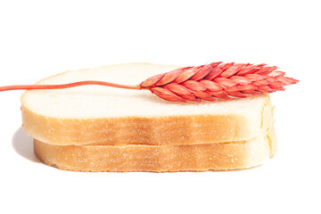 Wheat red ear with slices of white bread isolated on white background.
