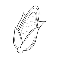 corn sketch icon