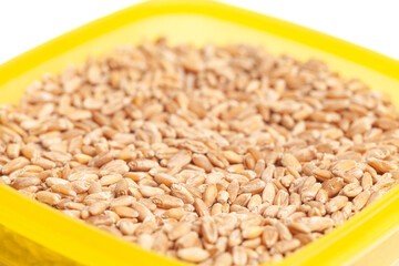 Wheat grains in bowl isolated on white background