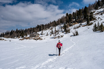 Fototapeta na wymiar Trentino escursione sulla neve