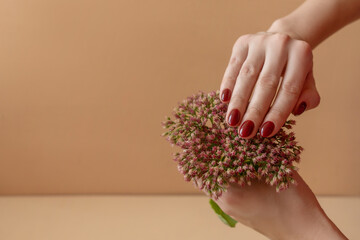 Beautiful female hands with red manicure.
