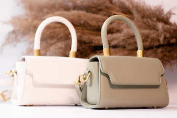 fashion photo of two purse. beige and green woman handbag with gold chain on background of pampas grass or dried flowers. isolated on white background. Product composition photography