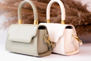 fashion photo of two purse. beige and green woman handbag with gold chain on background of pampas grass or dried flowers. isolated on white background. Product composition photography