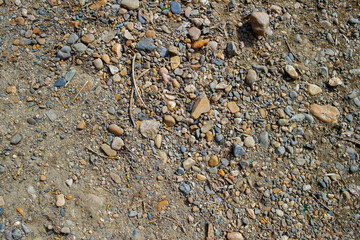 Stony soil texture background. Ground texture. Natural background. Ground and stones