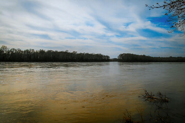 Irtysh river with big trees on the banks. Forest. Spring. River landscape. Great Irtysh. Ust-Kamenogorsk (kazakhstan)