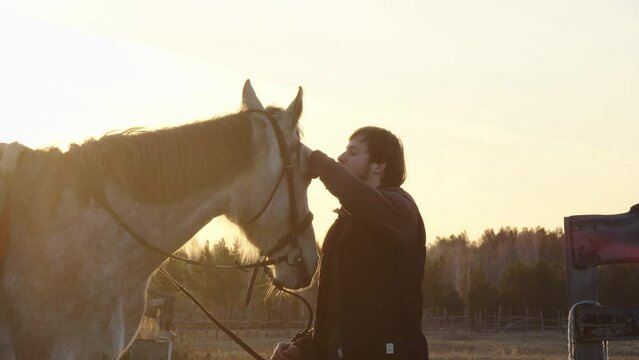 A man and a horse stand opposite each other on the street at dawn, a man with a beard carefully removes the hair from the horse's muzzle and carefully scratches its nose