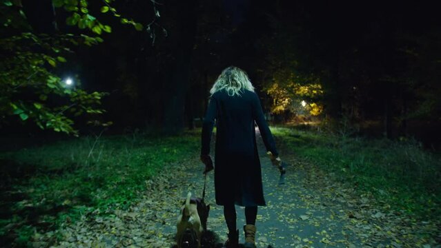 cinematic shot, creepy zombie woman with dog and hammer walks in the night park. horror. halloween. real evil.