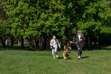 Obraz premium mom and daughter walk in the park with a dog breed german shepherd summer sun