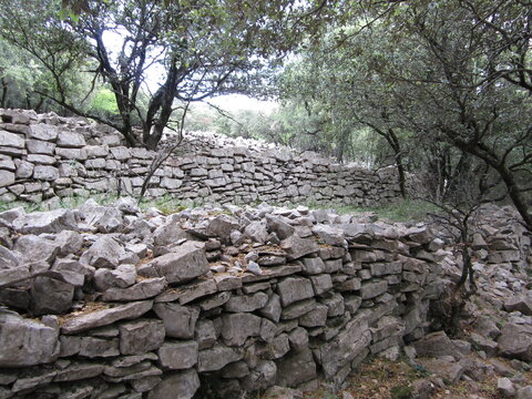 Murs de retenue ou fa&iuml;sses dans les C&eacute;vennes, dans le Gard, avec des ch&ecirc;nes verts embl&eacute;matiques et une v&eacute;g&eacute;tation de type garrigue